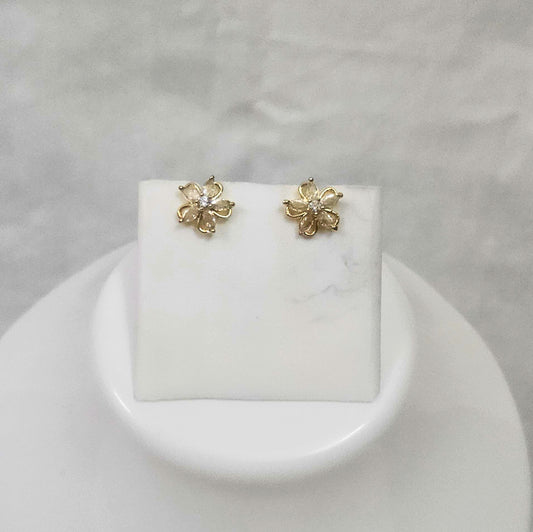 Zoryn AD Stone Studs for Girls & Women