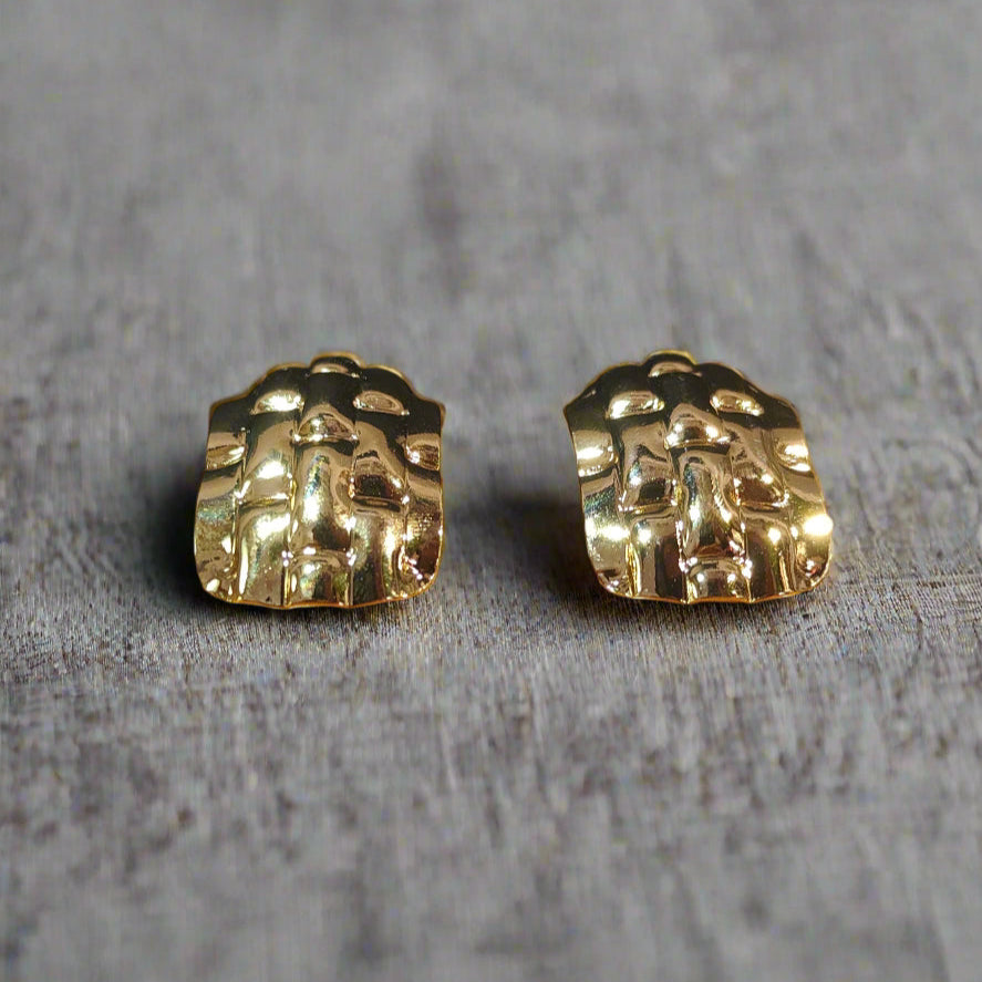 Reganza - Korean Earrings